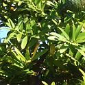 DSCF0166