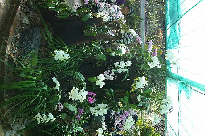 IMGP0925